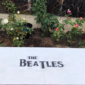 Meet your Posher, Tom